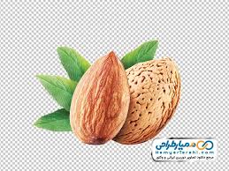 بادام منقا مرغوب + فروش به قیمت خرید